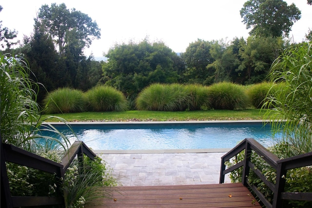 view of swimming pool with a lawn