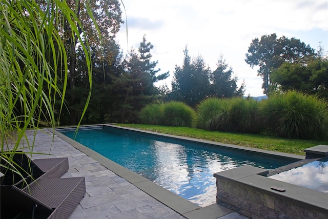 view of pool featuring a patio