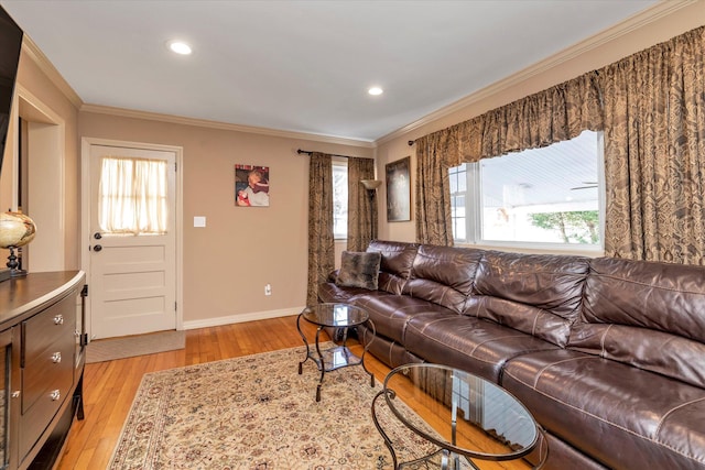 living room featuring crown molding and light wood-type flooring