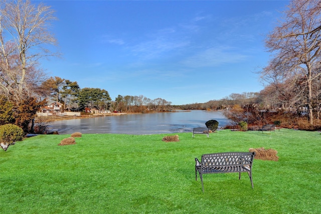 view of community featuring a yard and a water view