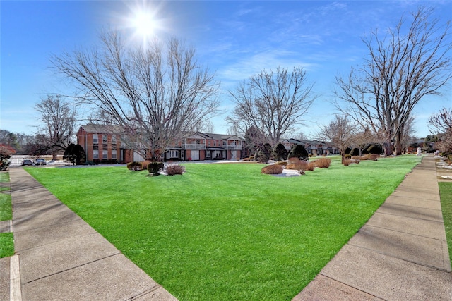 view of community with a yard