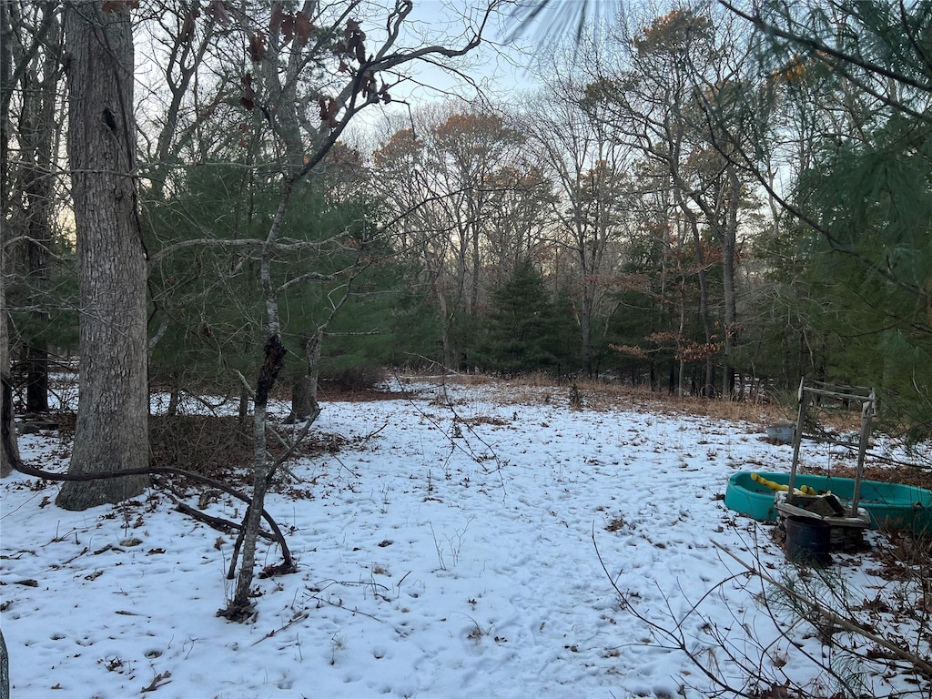 view of snowy yard