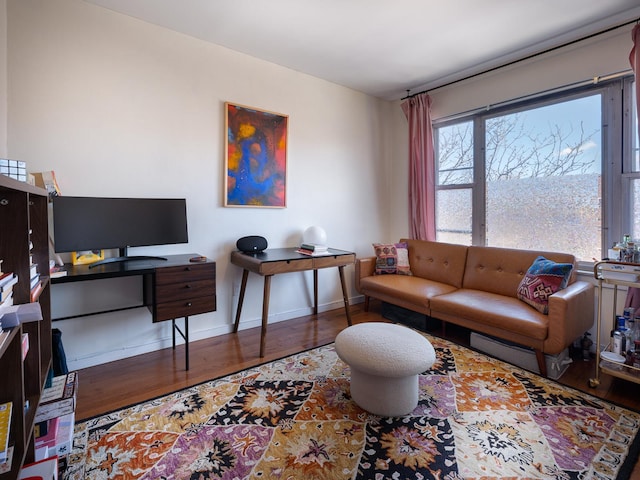 living room featuring hardwood / wood-style floors