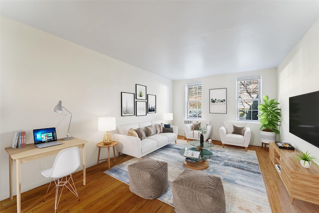 living room featuring wood-type flooring