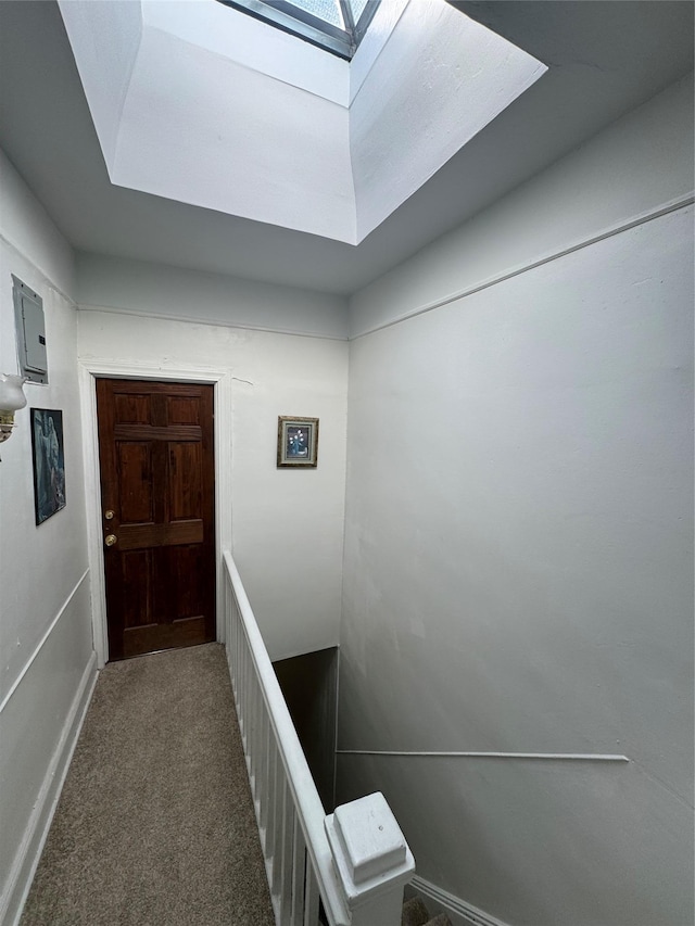 hallway with carpet flooring and a skylight