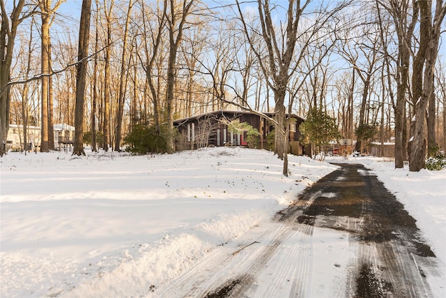 view of yard covered in snow