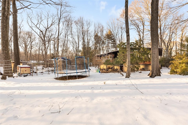 yard layered in snow featuring a trampoline