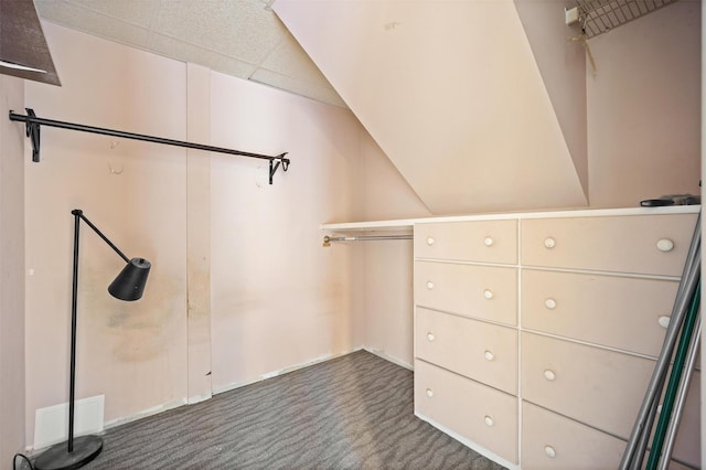 walk in closet featuring dark carpet and a paneled ceiling