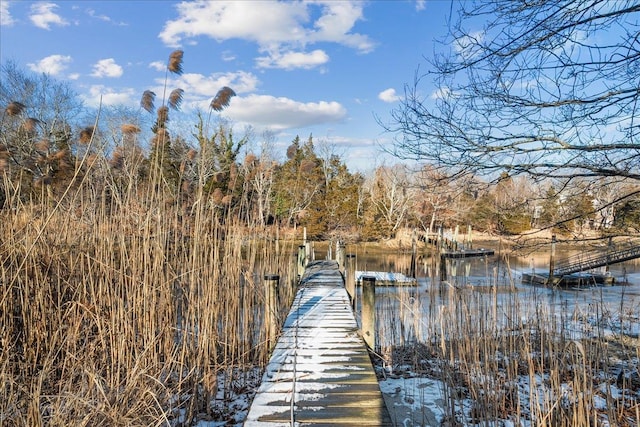 dock area featuring a water view