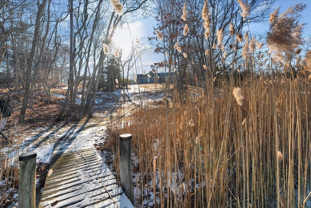 view of dock