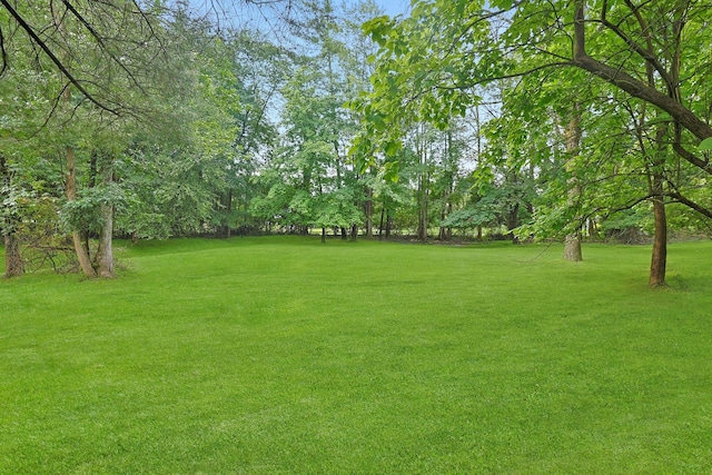 3 Dore Ct, New City, NY 10956 - view of green lawn