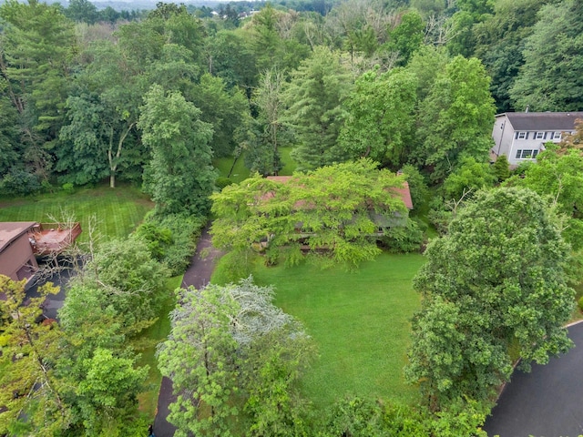 3 Dore Ct, New City, NY 10956 - bird's eye view of a forest