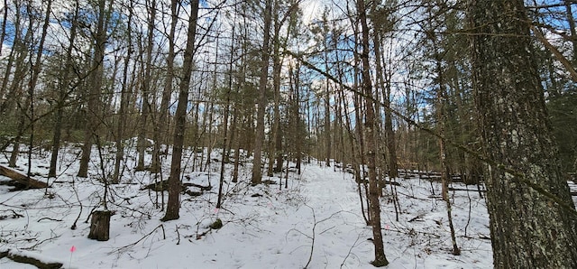 LOT82 Perry Pond Rd, Narrowsburg NY, 12764 land for sale