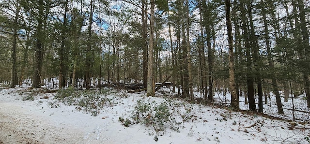 Listing photo 2 for LOT82 Perry Pond Rd, Narrowsburg NY 12764