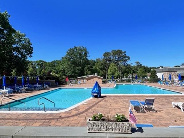 view of swimming pool with a patio