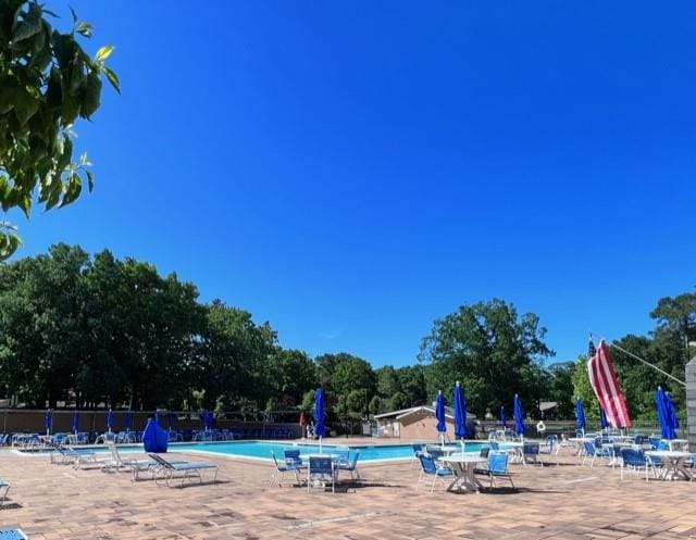 view of pool featuring a patio