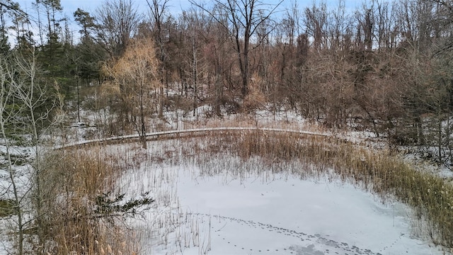 view of snow covered land