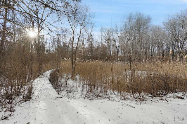 view of snow covered land