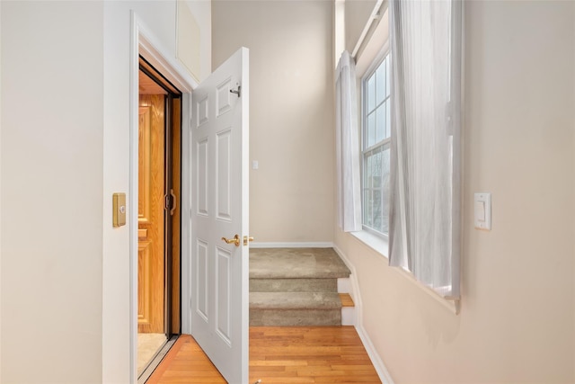 hallway featuring light hardwood / wood-style flooring