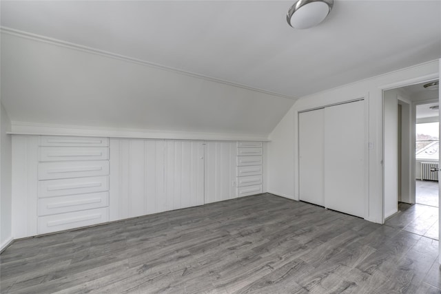 additional living space with wood-type flooring, lofted ceiling, and radiator heating unit