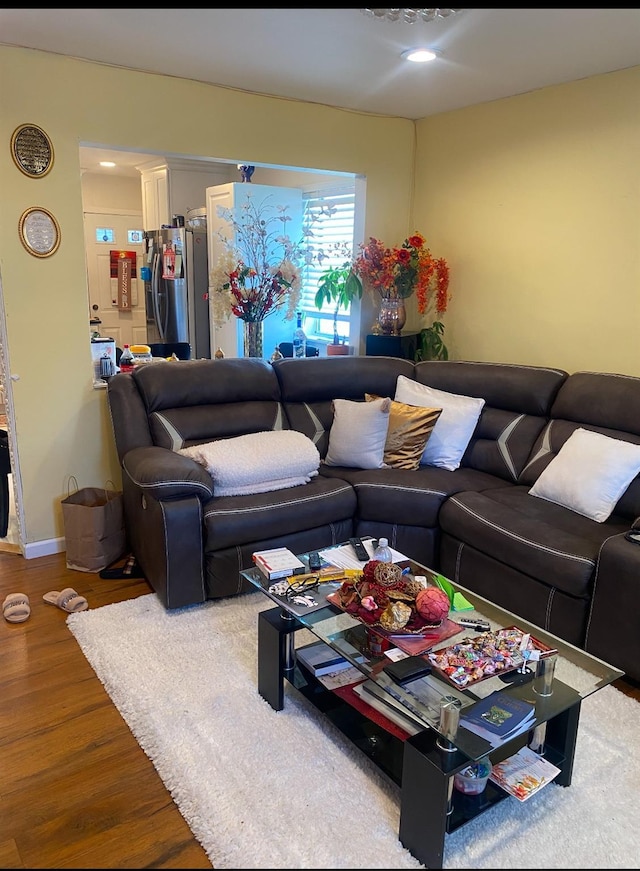 living room with hardwood / wood-style floors