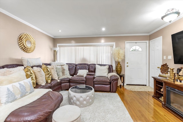 living room featuring ornamental molding and light hardwood / wood-style floors