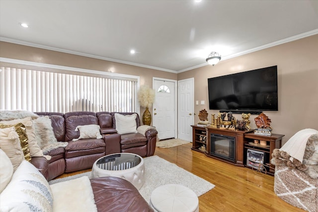 living room featuring ornamental molding and light hardwood / wood-style flooring