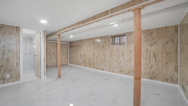 basement with wooden walls