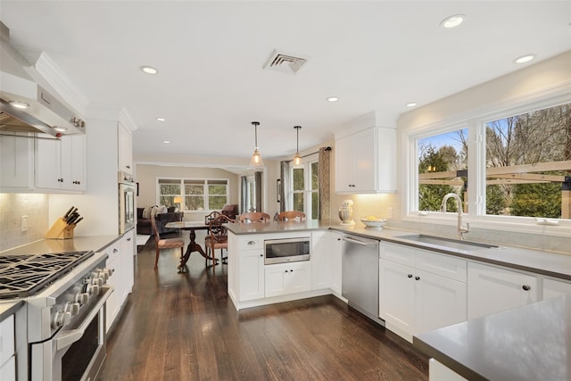 kitchen featuring a sink, plenty of natural light, appliances with stainless steel finishes, and a peninsula