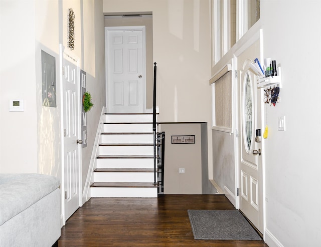 foyer with dark wood-type flooring