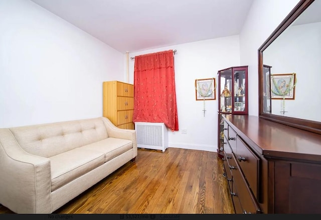 sitting room featuring hardwood / wood-style flooring