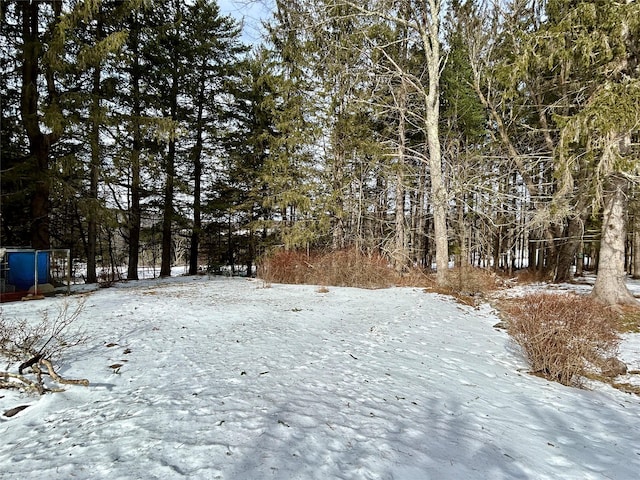 view of yard covered in snow