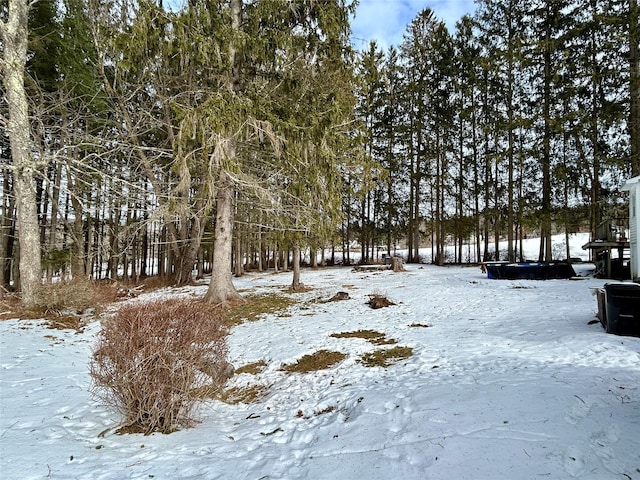 view of snowy yard
