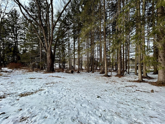 view of snowy view
