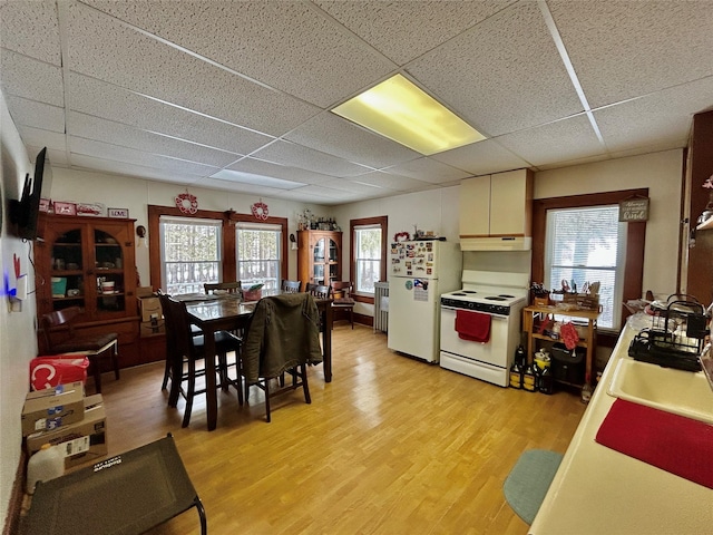 kitchen featuring white appliances, a drop ceiling, and light wood-type flooring