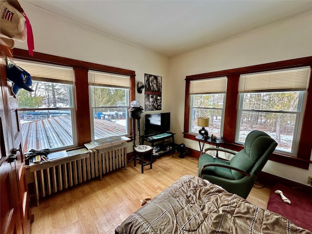 living area with plenty of natural light, radiator, and wood-type flooring
