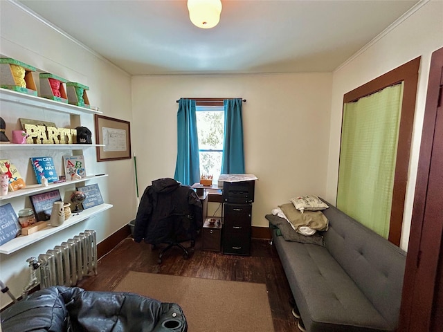 office featuring crown molding, radiator, and dark hardwood / wood-style flooring