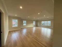 unfurnished living room featuring plenty of natural light, ornamental molding, and light wood-type flooring