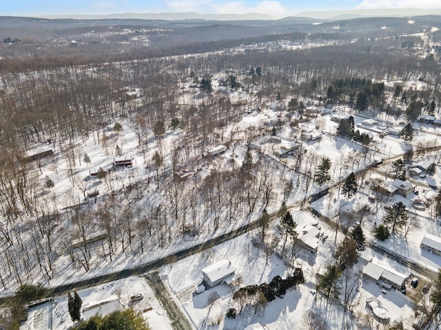 snowy aerial view featuring a mountain view