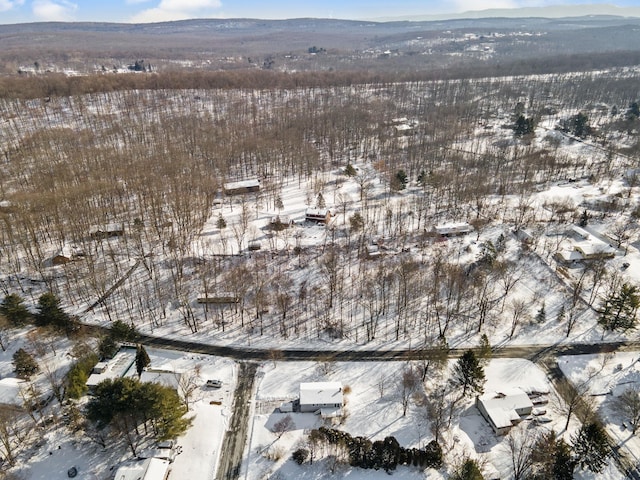 snowy aerial view featuring a mountain view