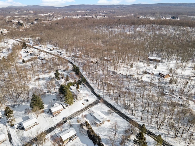 snowy aerial view featuring a mountain view