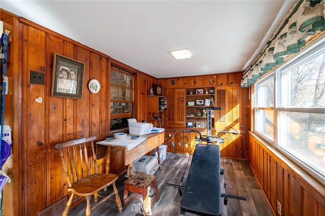 office area featuring wooden walls and dark hardwood / wood-style flooring