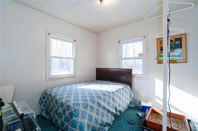 bedroom with multiple windows and carpet floors