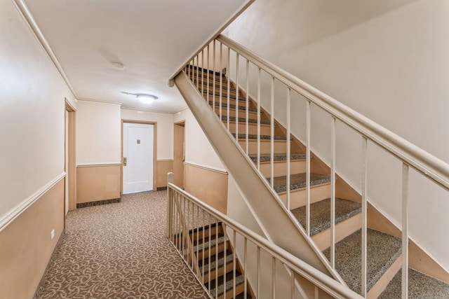 stairway featuring crown molding and carpet flooring