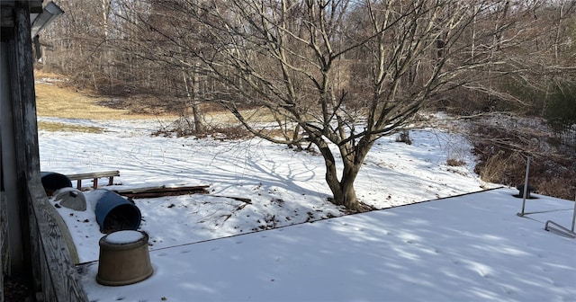 view of yard covered in snow