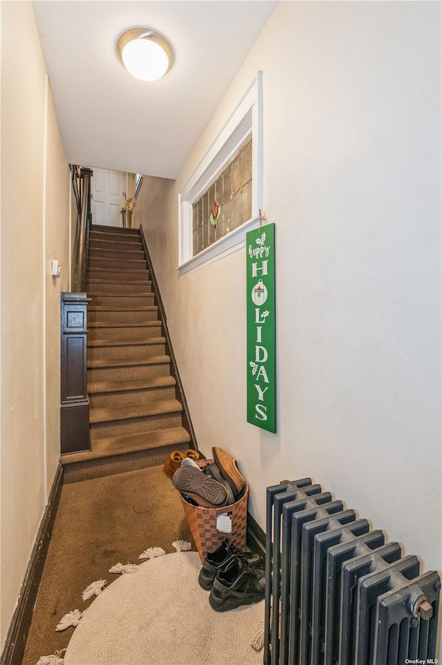 stairs featuring carpet flooring and radiator