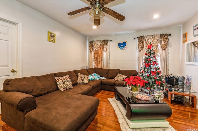 living room with ceiling fan and wood-type flooring