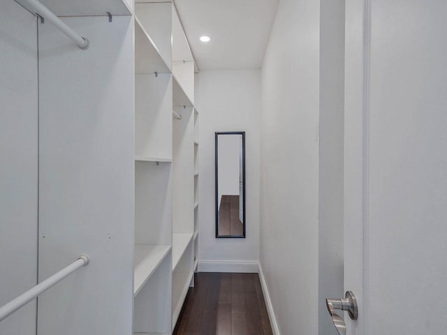 spacious closet featuring dark wood-type flooring