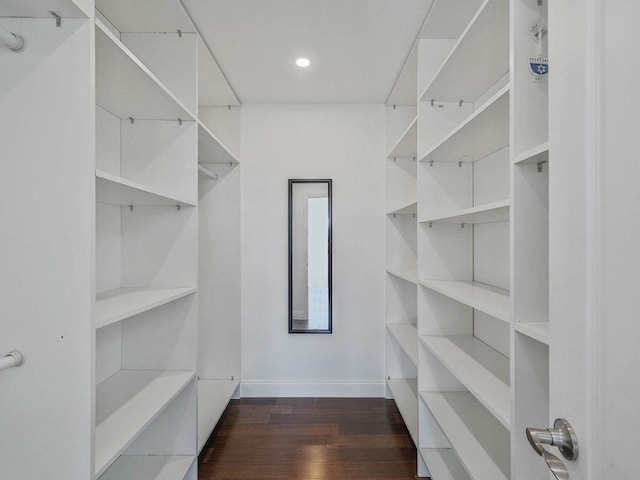 walk in closet featuring dark hardwood / wood-style flooring