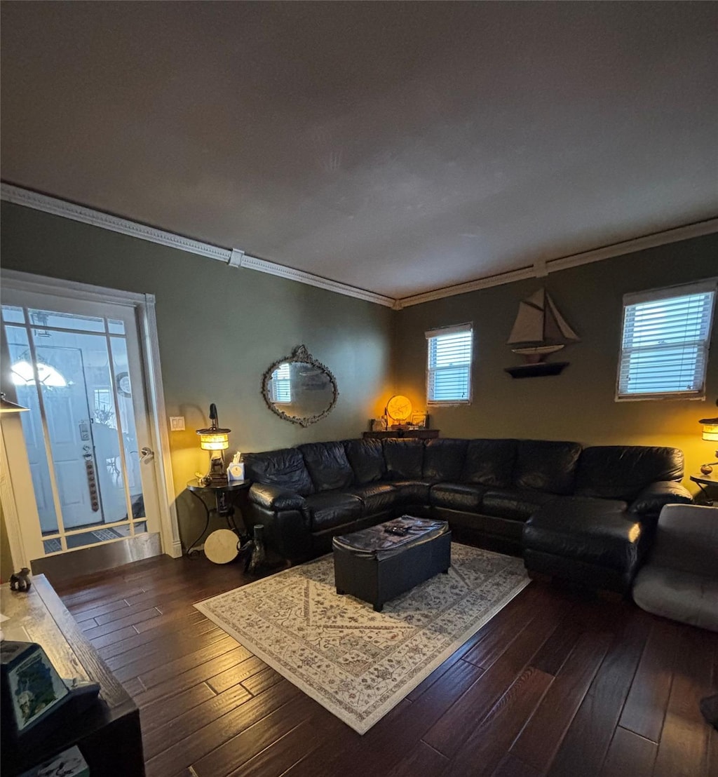 living room featuring dark wood-type flooring and crown molding